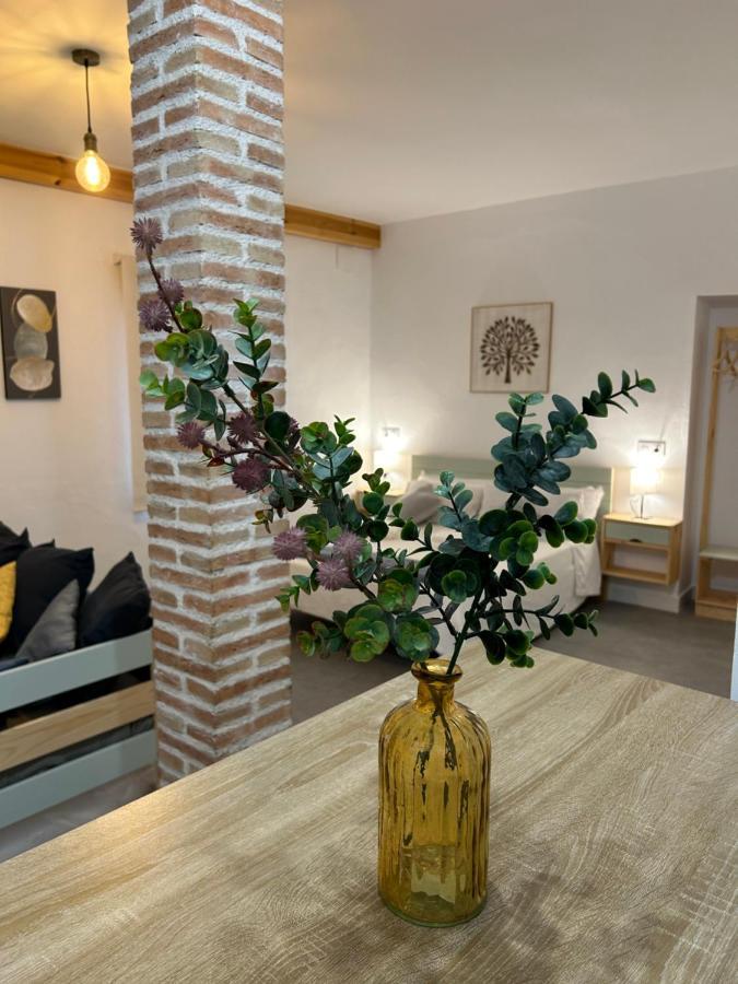 Apartamentos El Buho بيلمونت المظهر الخارجي الصورة